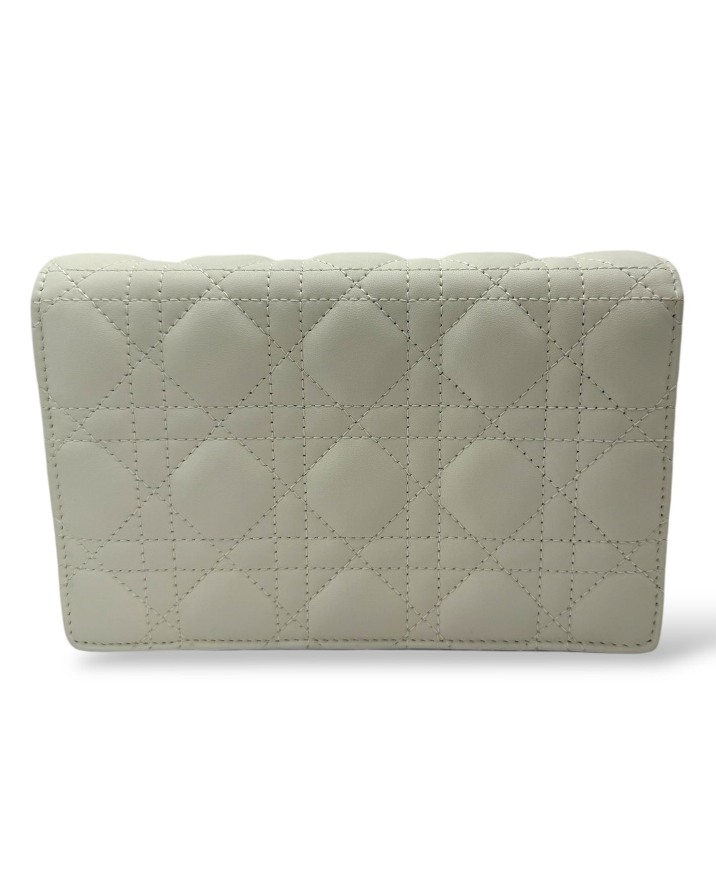 My Dior Daily Pouch