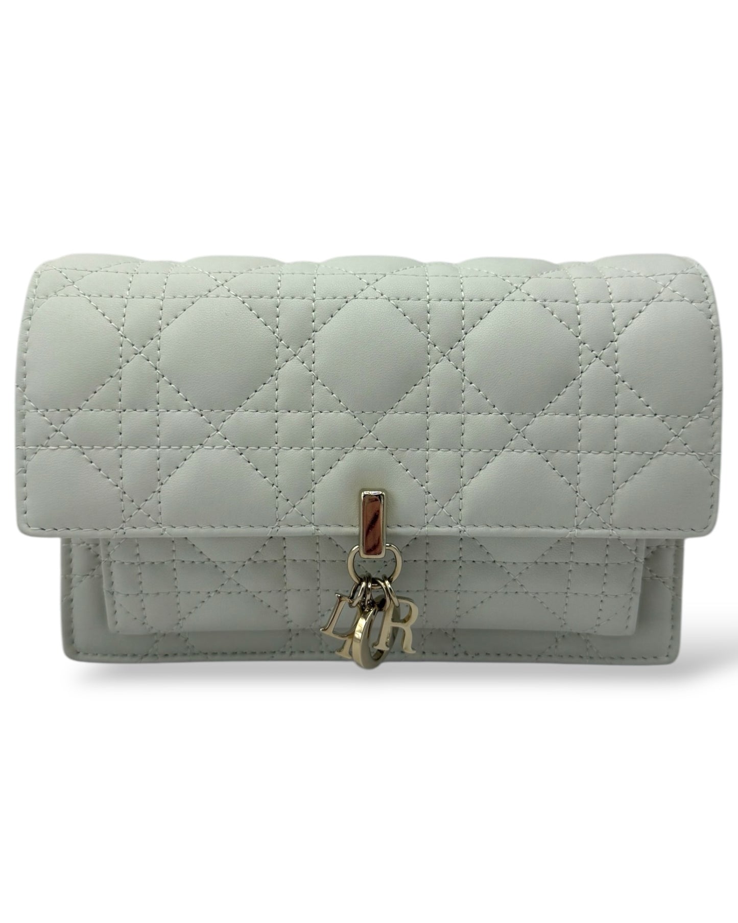 My Dior Daily Pouch